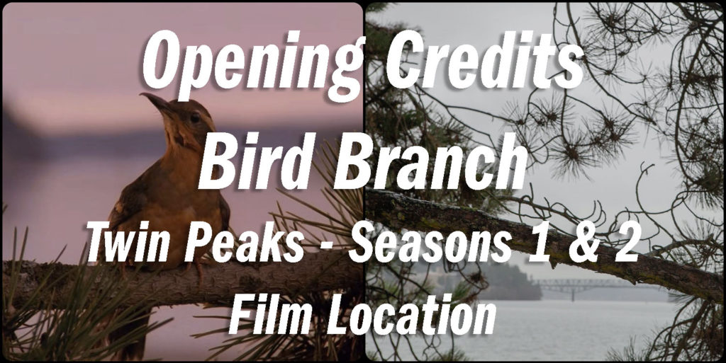 Twin Peaks Film Location - Opening Credits Bird Branch