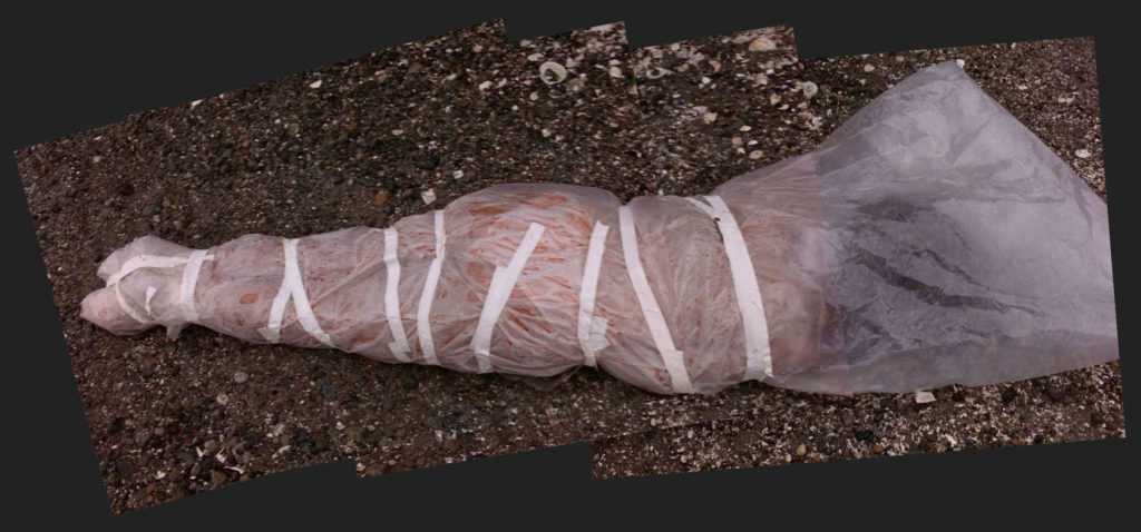 Laura Palmer Wrapped in Plastic