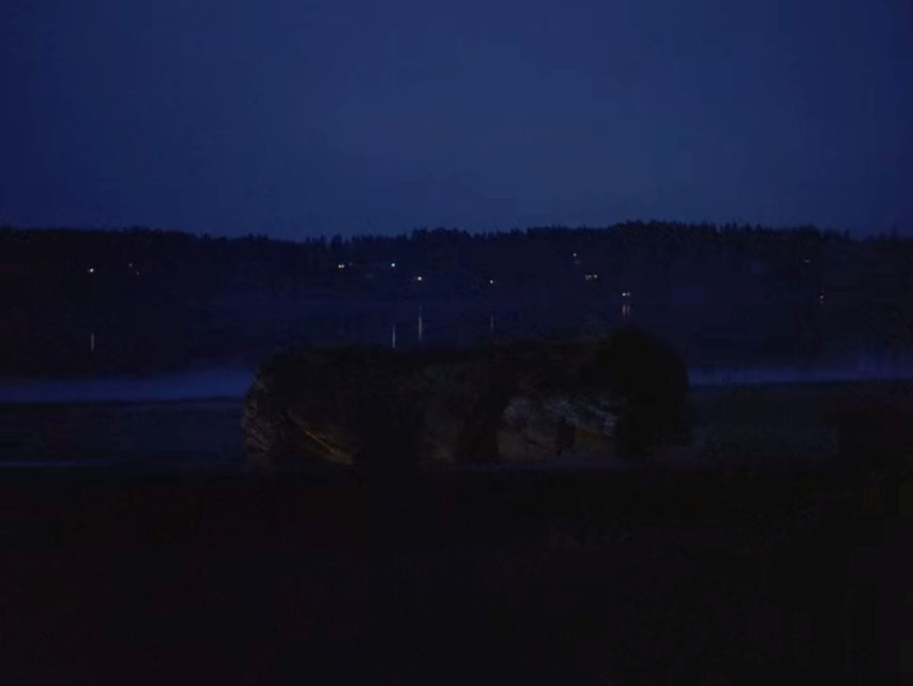 The Log at Night