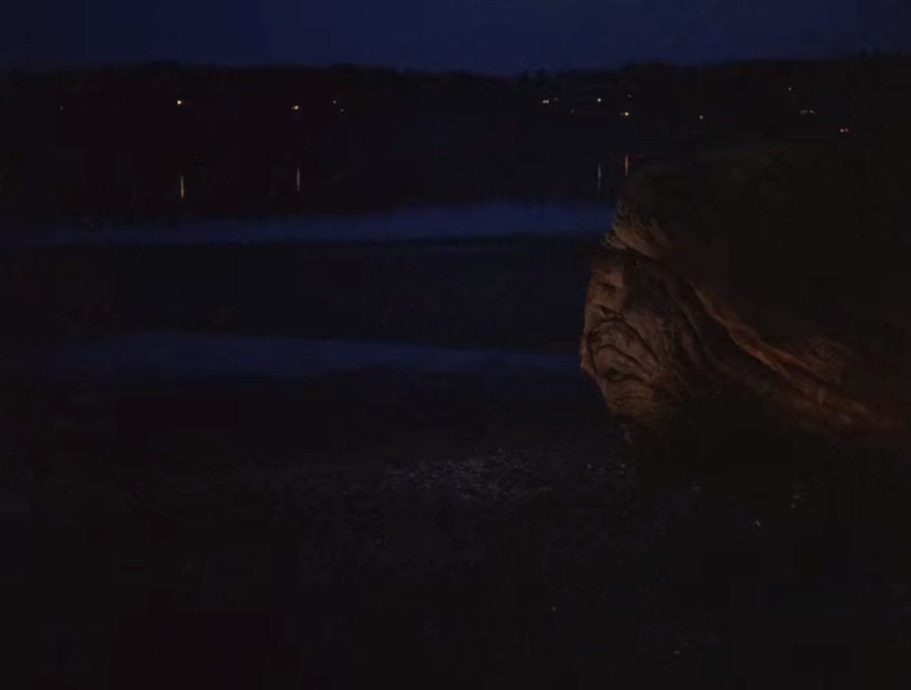 Giant Log at Night