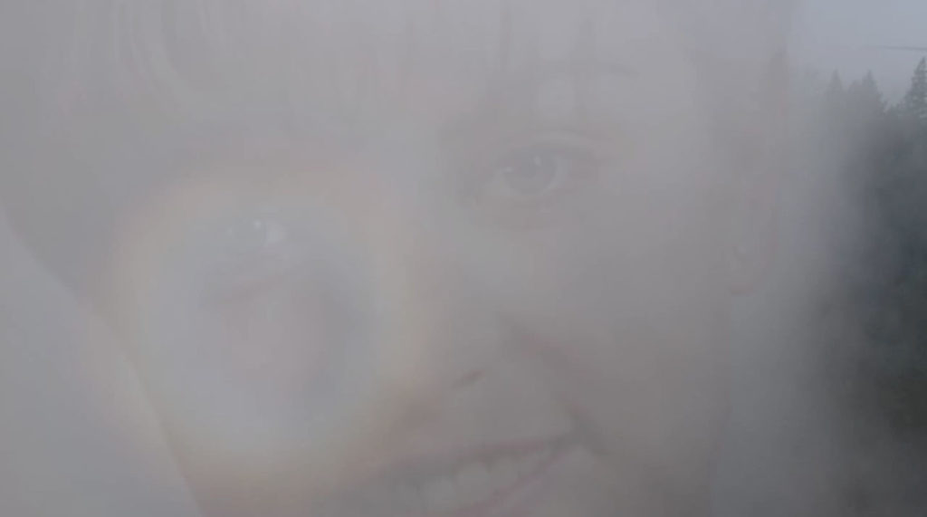 Laura Palmer's Face