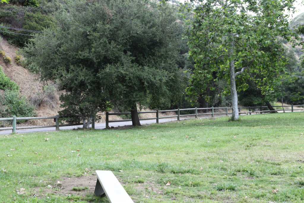 Field at Franklin Canyon Park