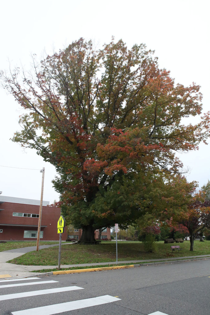 Snohomish High School