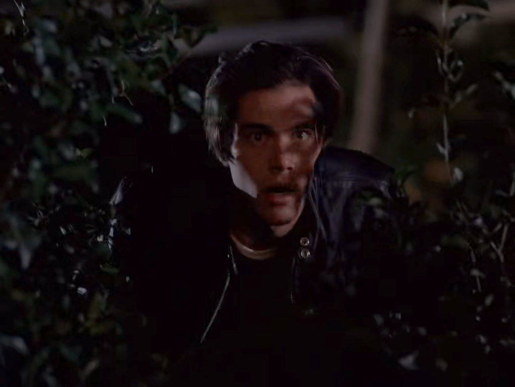 Bobby Briggs Hiding in the Bushes