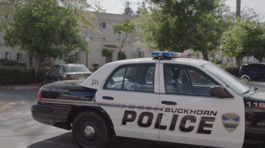 Buckhorn Police car outside Ruth Davenport's apartment building.