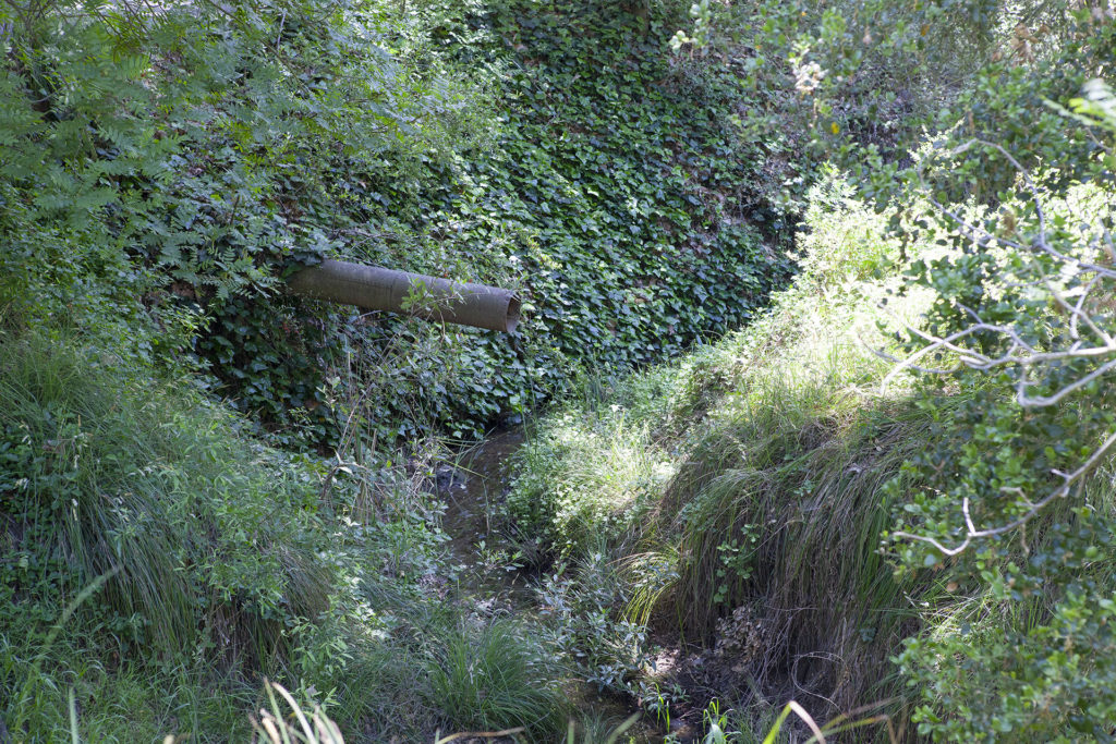 Owl Pipe at Franklin Canyon in 2012