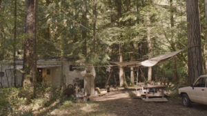 Dr. Amp's Home in the Woods from Part 1