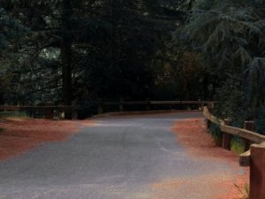 InTwinPeaks - Franklin Canyon Park