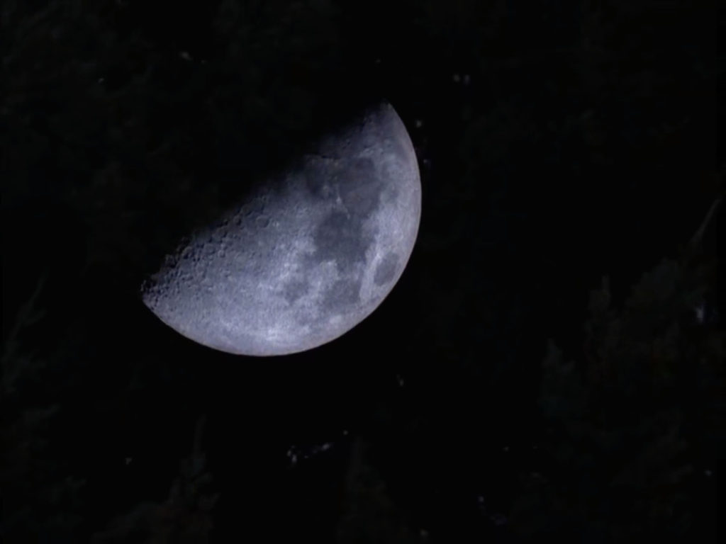 The moon (and trees) in Episode 2015