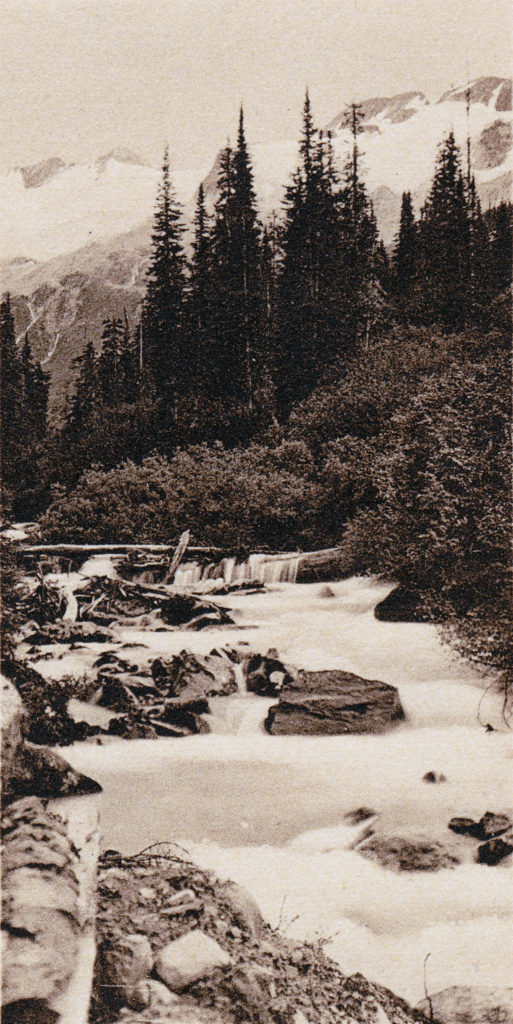 Asulkan Valley Postcard