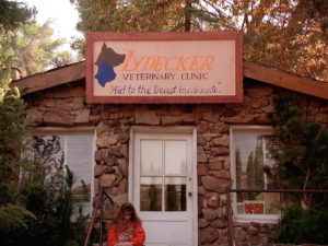 Lydecker Veterinary Clinic in Episode 1004