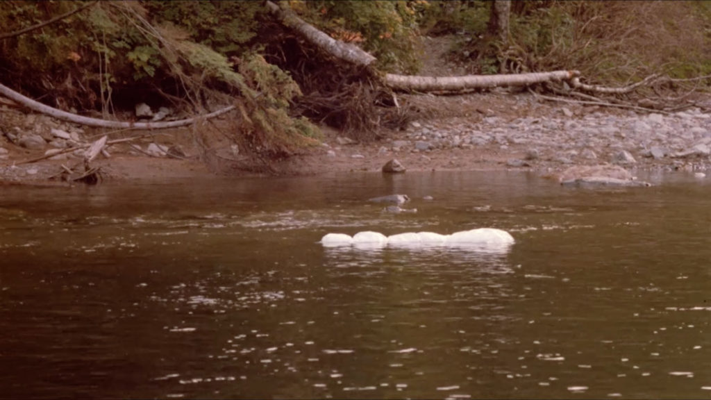 Twin Peaks Film Location - Teresa Banks in Wind River