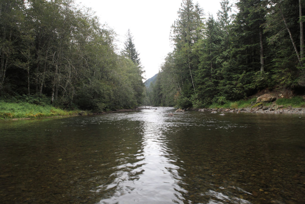 Twin Peaks Film Location - Snoqualmie River Olallie State Park - September 17