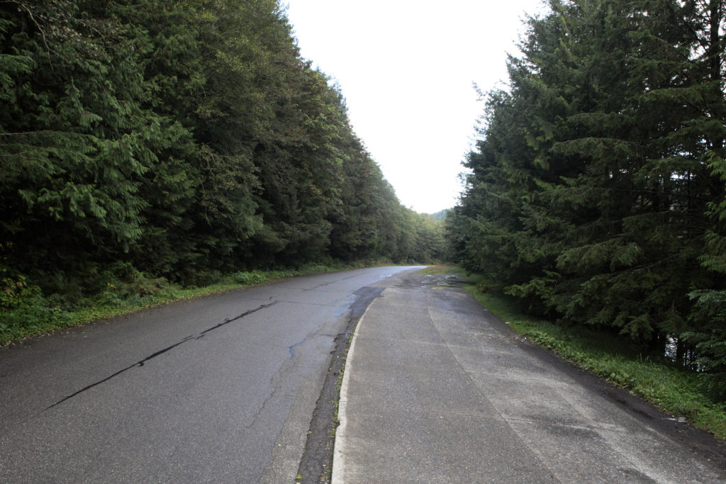 Road into "Deer Meadow" at Olallie State Park