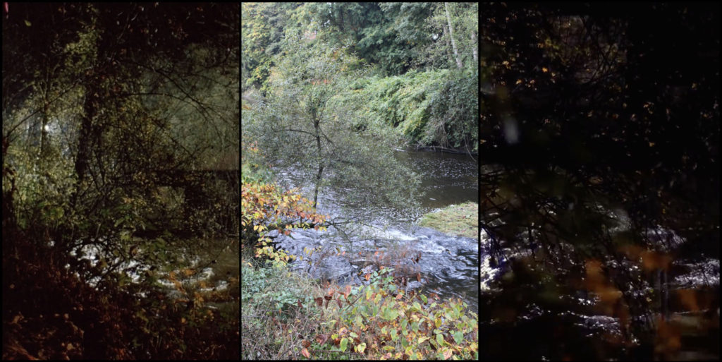 The Skykomish River in Monroe, Washington as seen in Seasons 1 and 2 of Twin Peaks