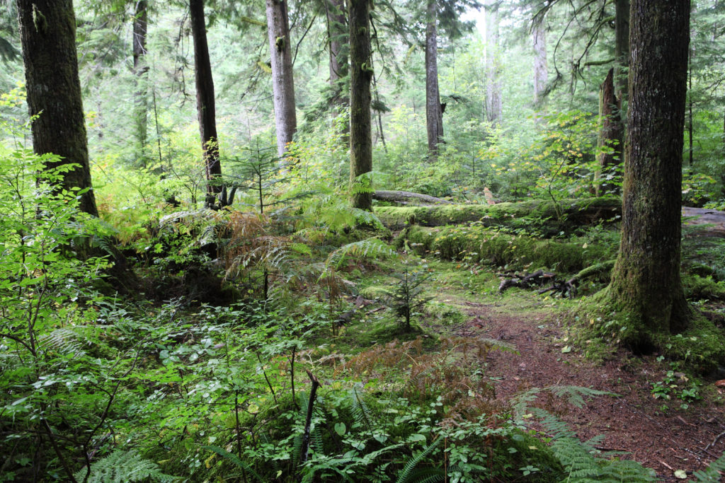 Olallie State Park