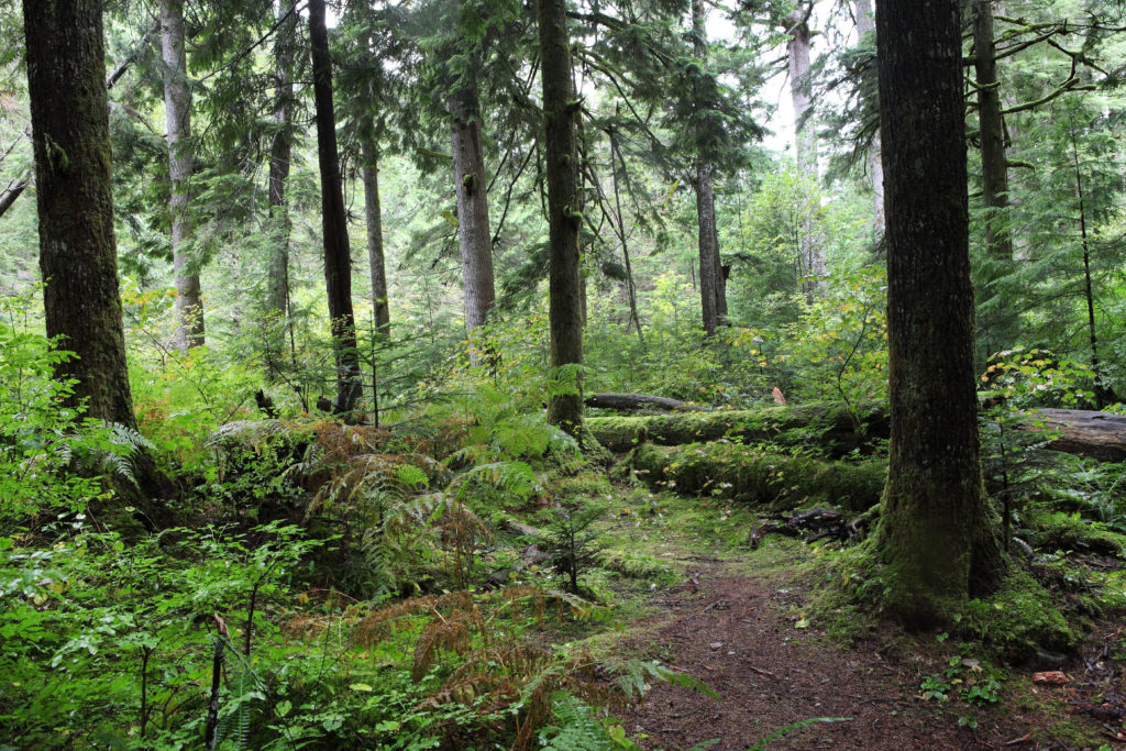 Olallie State Park