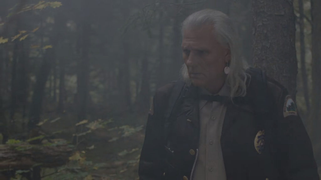 Hawk in the Woods