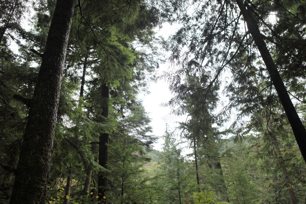 Olallie State Park
