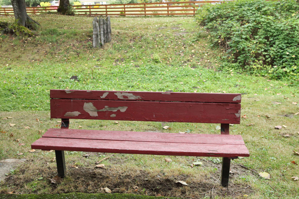 Carl Rodd's bench in E.J. Roberts Park