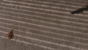 Part 3 Carpet