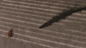 Part 3 Carpet