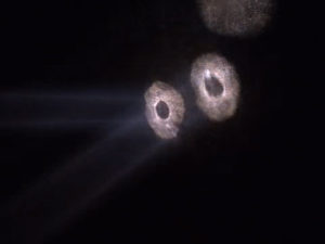 Vacant Peaks Owl Cave Flashlights on Wall