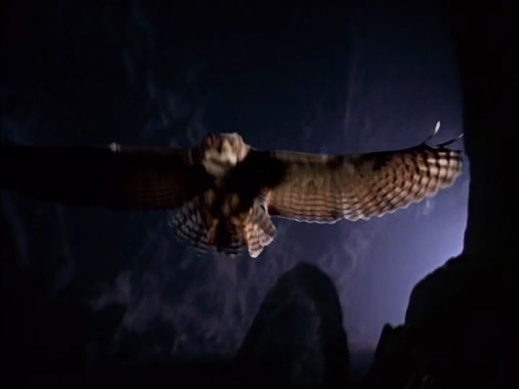 Episode 2018 - Owl in Owl Cave