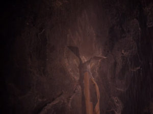 Vacant Peaks Owl Cave Axe Falls