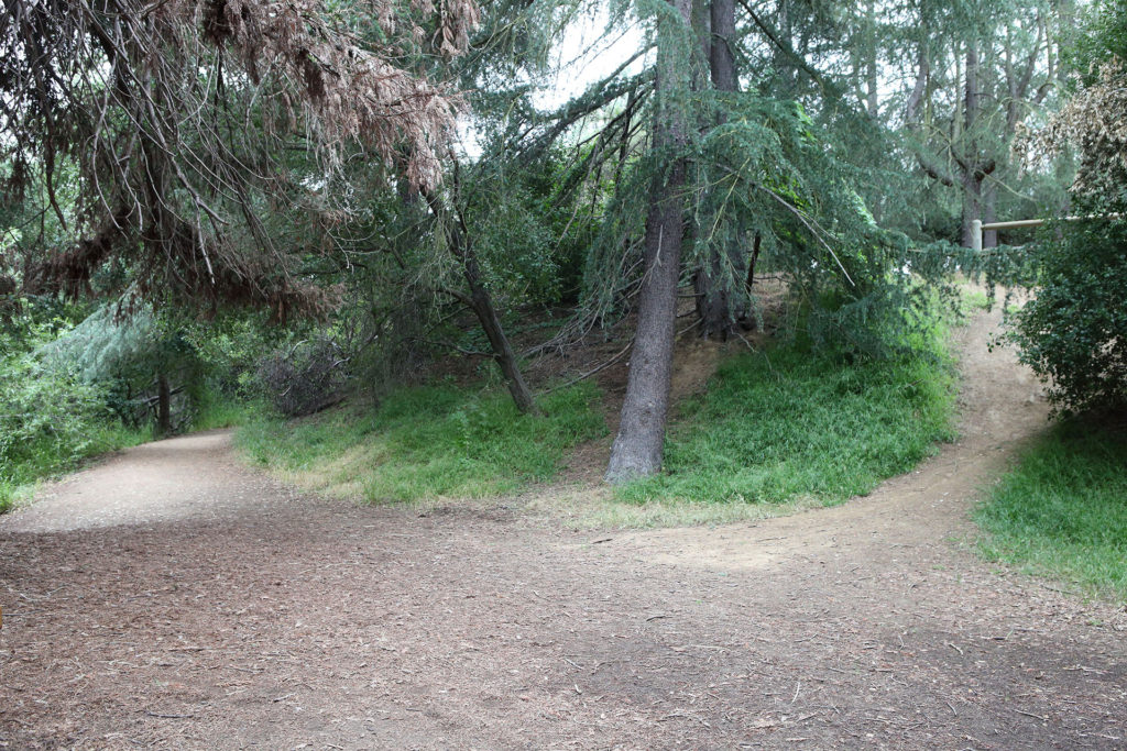Franklin Canyon Park on May 26, 2019