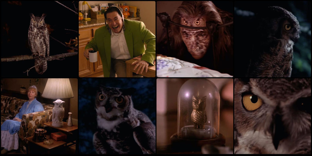 All in the Details - Owls of Twin Peaks