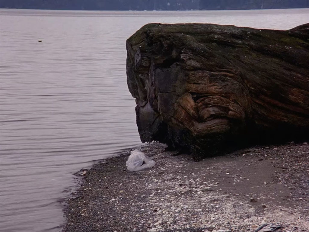Laura Palmer by the giant log