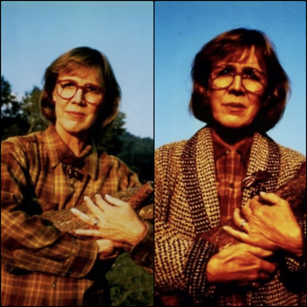 Log Lady from The Mauve Zone