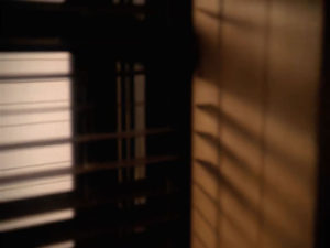 Blinds inside Harold's apartment in 2003