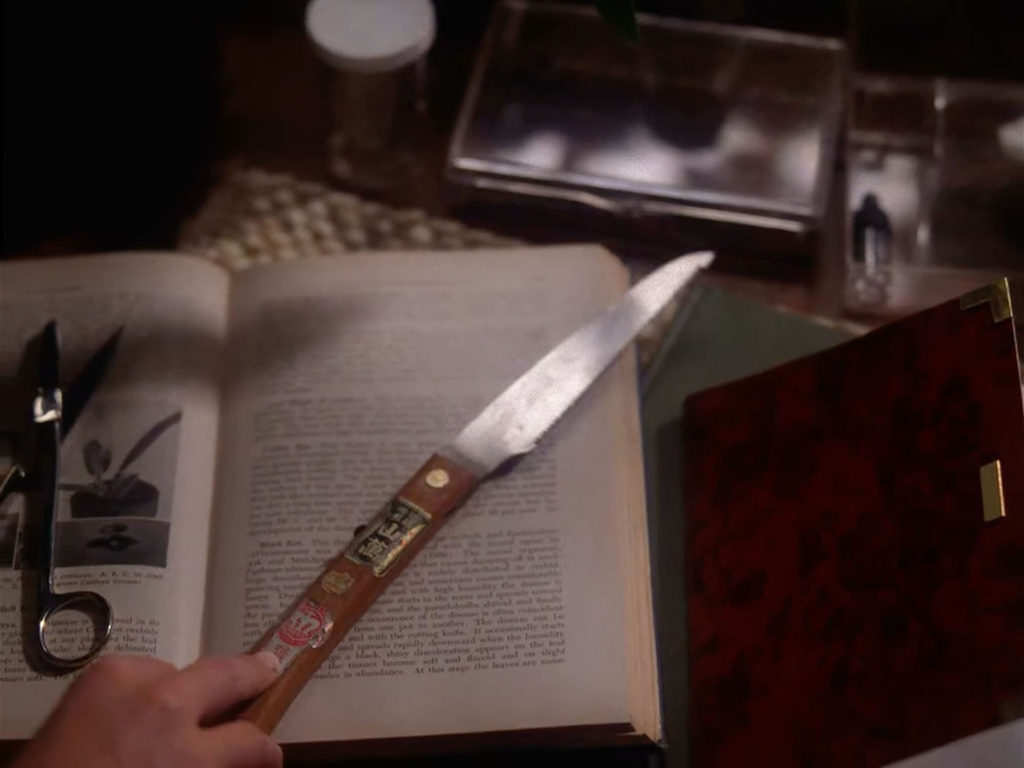Book next to Laura's Diary