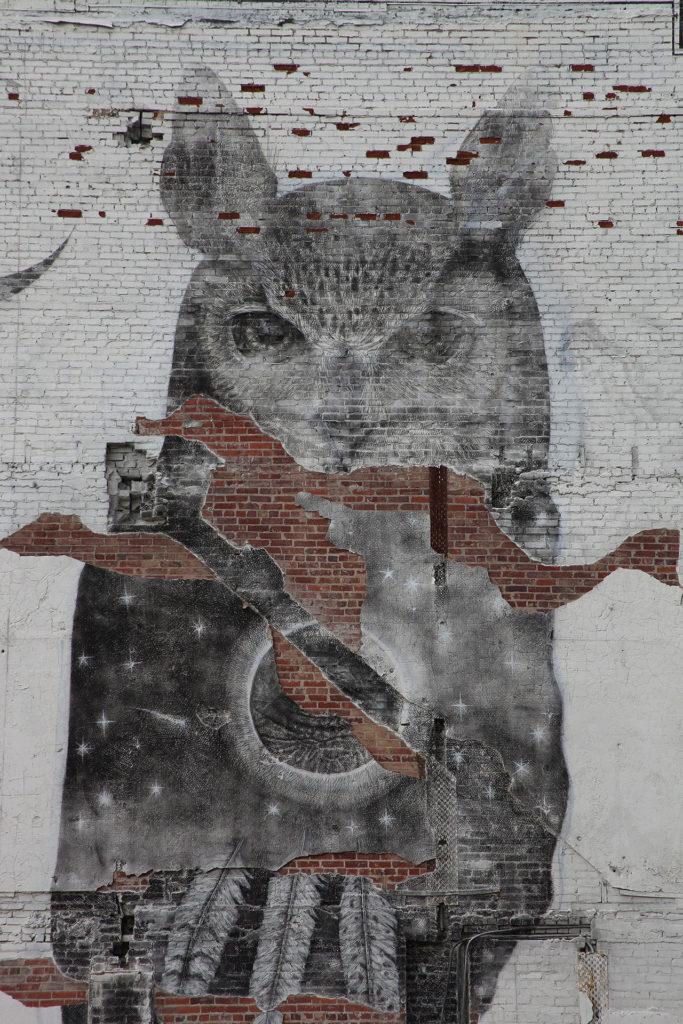Owl Mural by Alexis Diaz