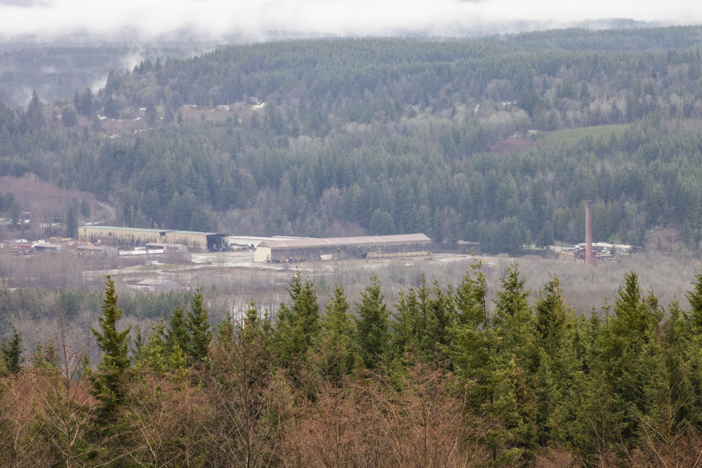 Mill Site as seen from Snoqualmie Point Park
