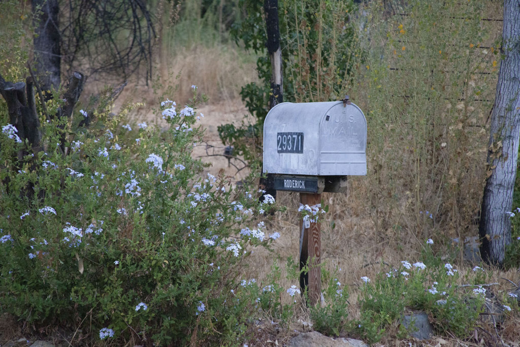 Mailbox at 29371 Lake Vista Drive