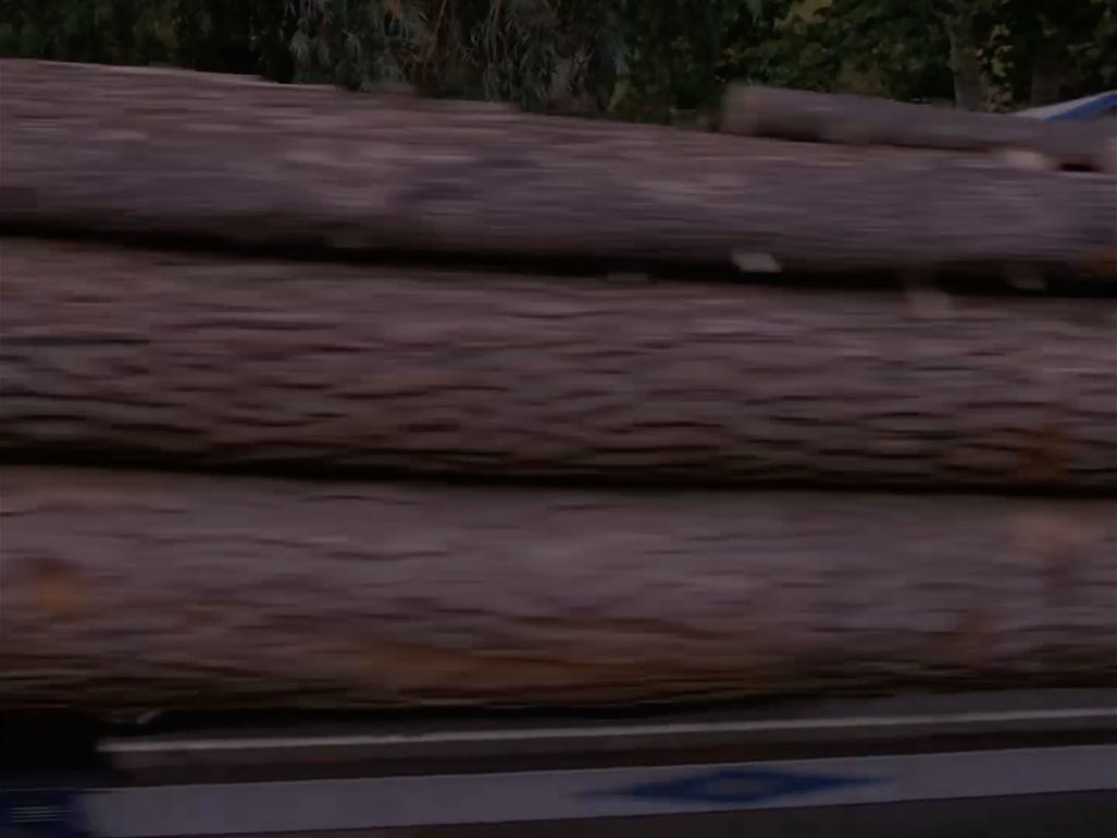 Logging Truck in Episode 2007